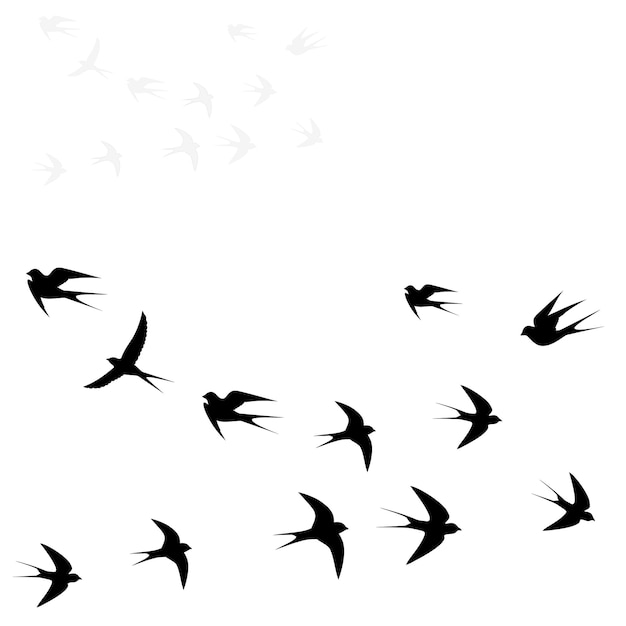 Birds fly in two flocks