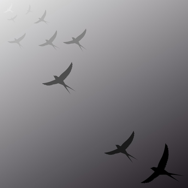 Birds flying away into the distance