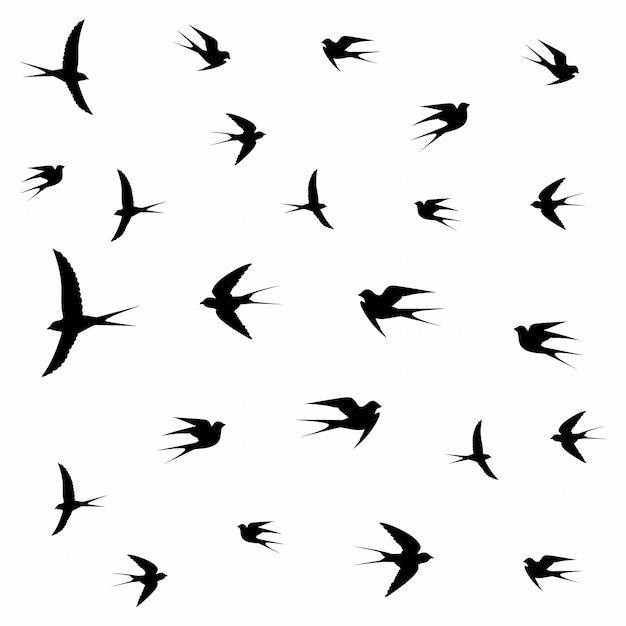 Uccelli che volano in nuvole