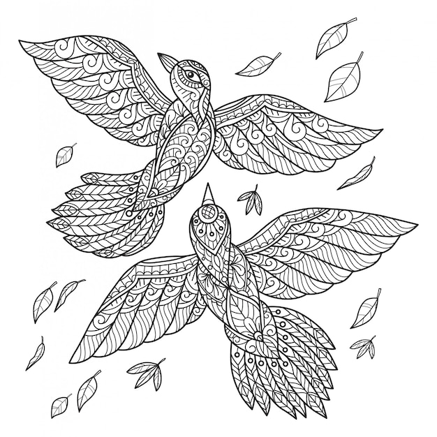 Page 10  Opila Bird Coloring Page Images - Free Download on Freepik