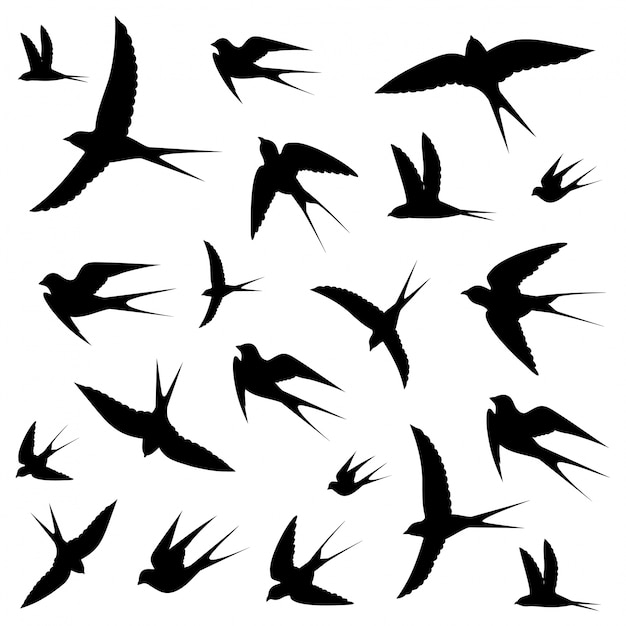Vector birds icons
