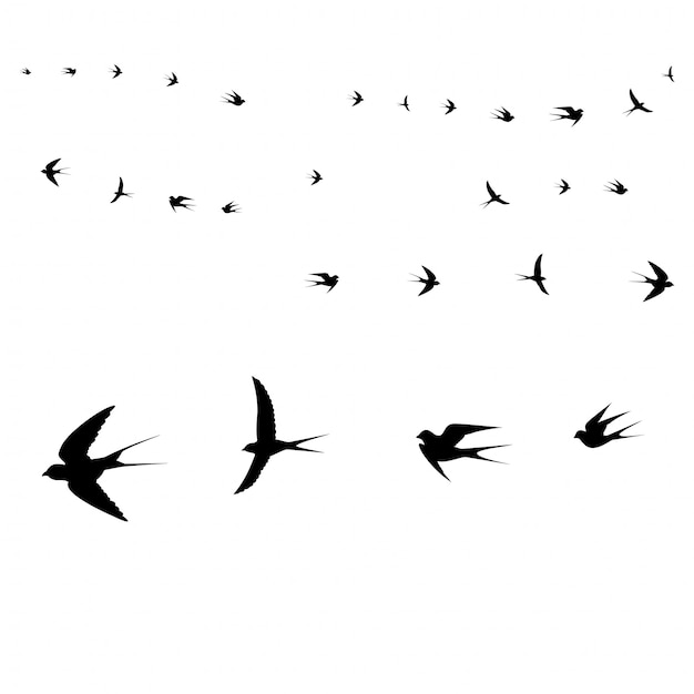 Vector birds icons