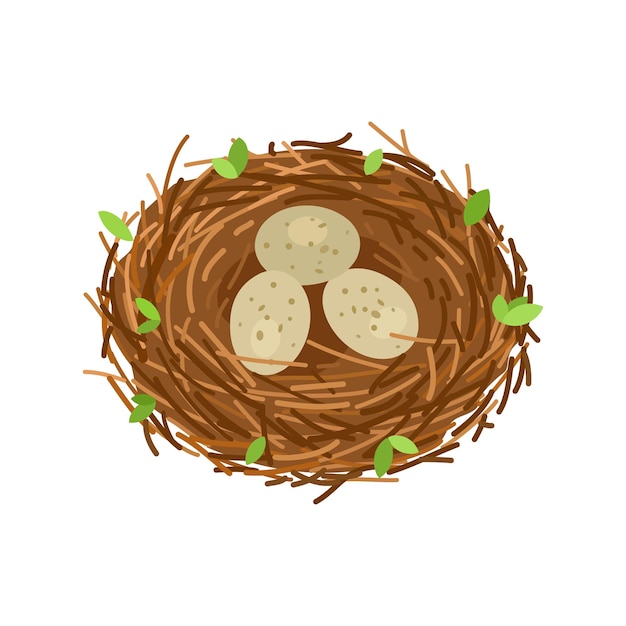 Vector birds nest with 3 eggs branches and leaves vector illustration isolated on white background