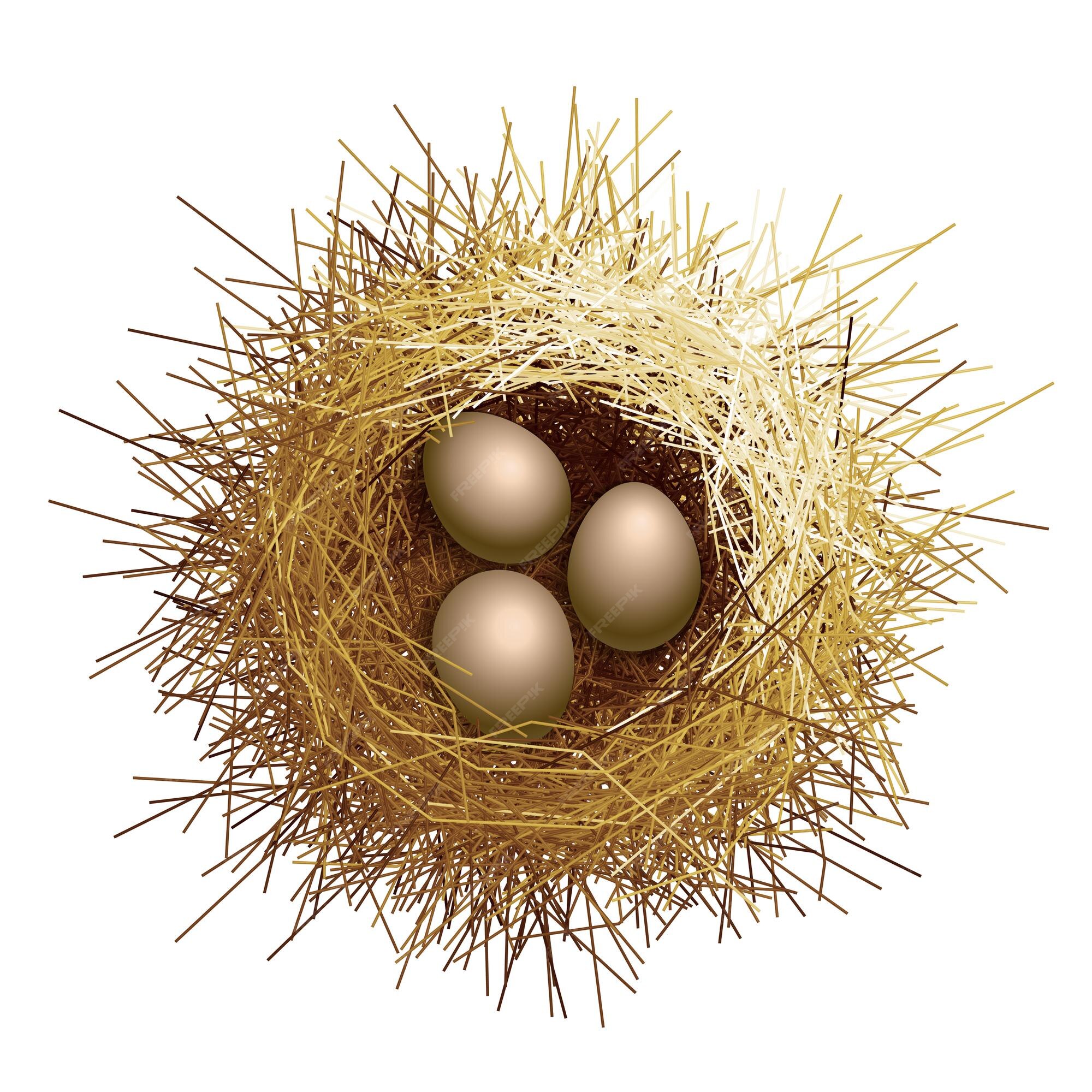 Full Control - Golden Eggs With Nest Logo - Free Transparent PNG Clipart  Images Download