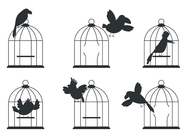 Birds in and out cage shadow silhouette isolated set vector graphic design illustration