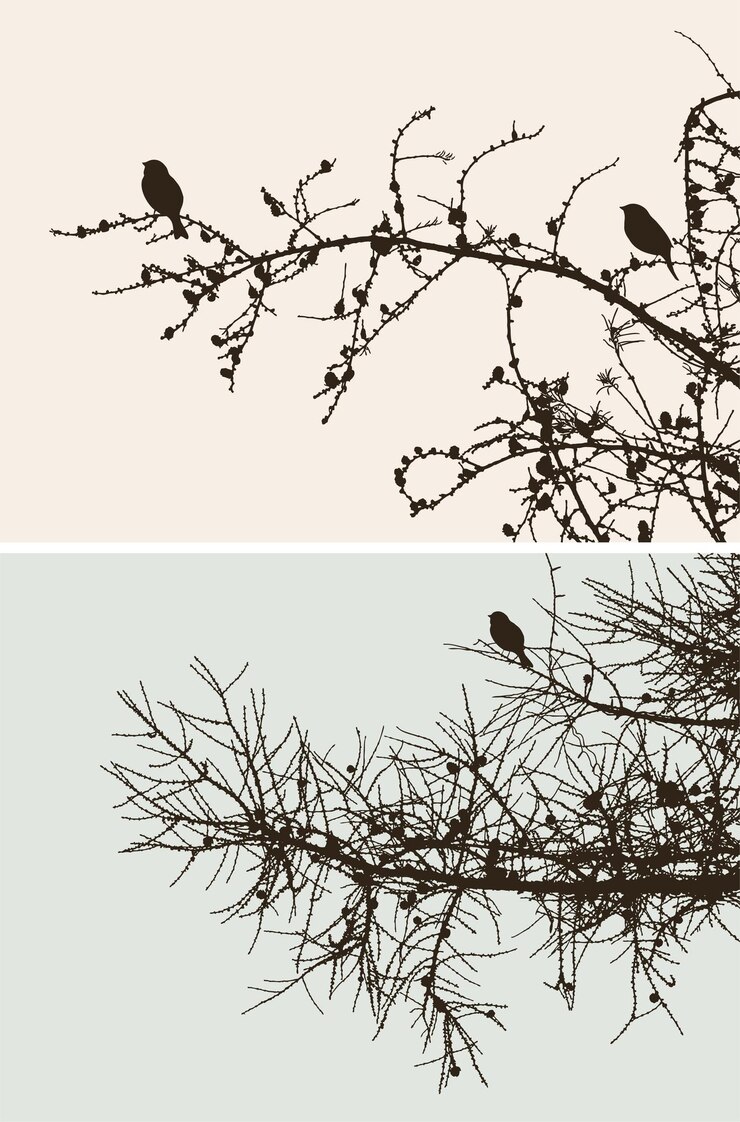 Vector the birds on the pine branches