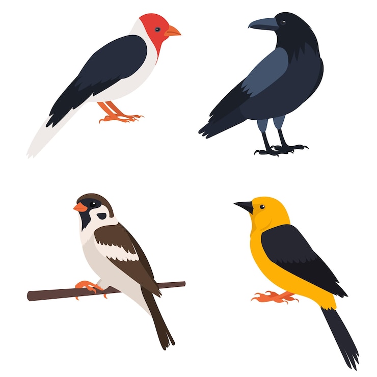 Vector birds set flat design isolated on white background vector