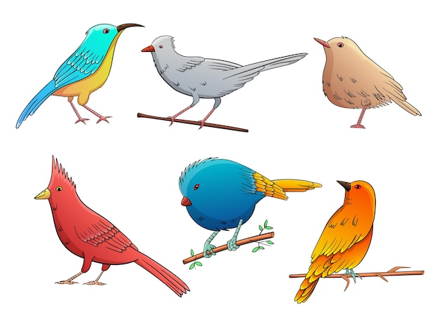 Birds set vector design illustration isolated on white background