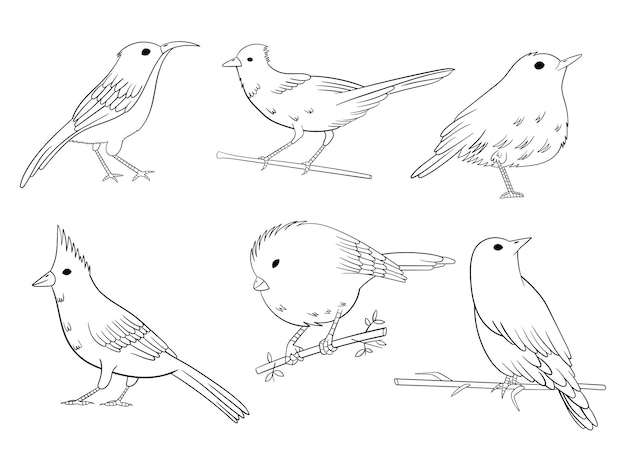 Birds set vector design illustration isolated on white background