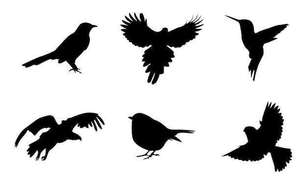 Vector birds silhouette 6 different vector illustrations