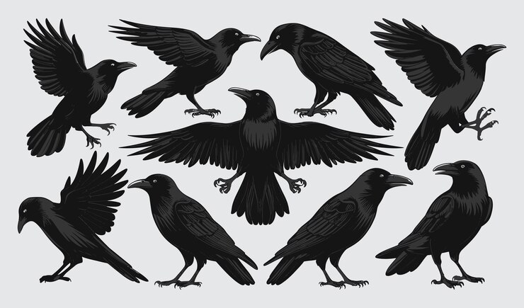 Vector birds silhouette vector collection hand drawn