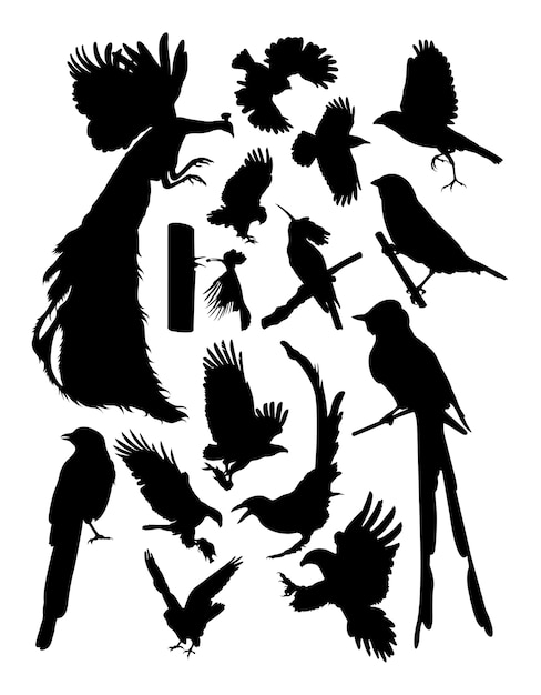 Birds silhouette