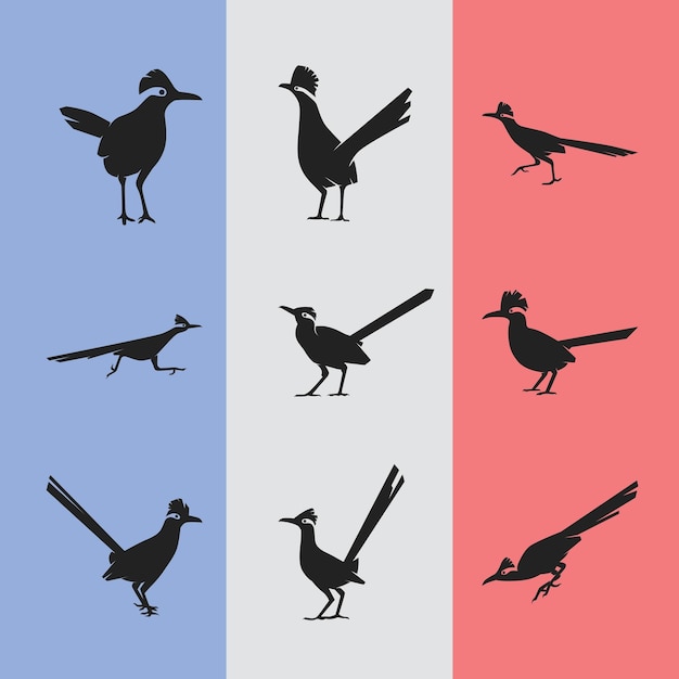 Vector birds silhoutte vector