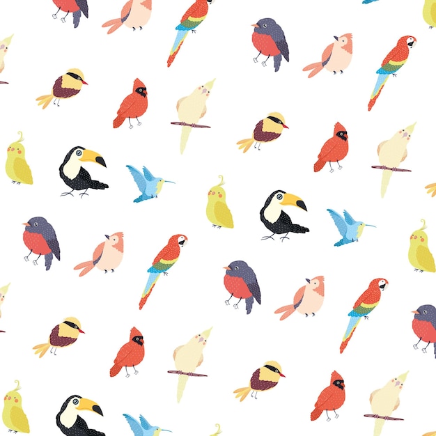 Vector birds species animals composition