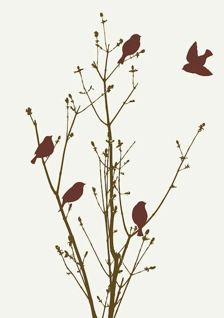 Vector birds in the spring