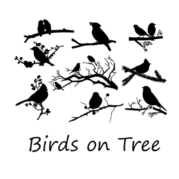 Vector birds on tree branch bundle silhouette svg design