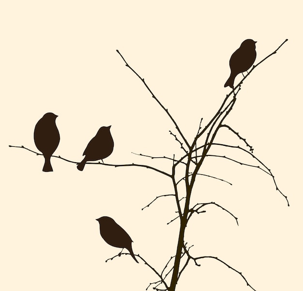 Vector birds on the tree branches