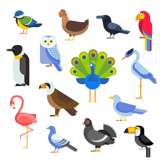 Birds vector set illustration isolated