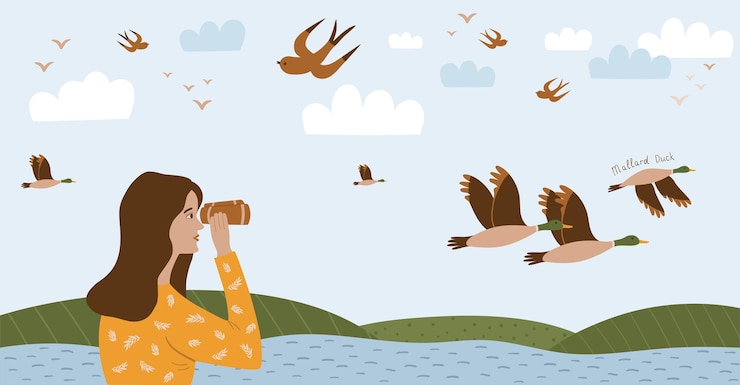 Vector birdwatching poster, birding. ornithology horizontal banner template. girl looks through binoculars