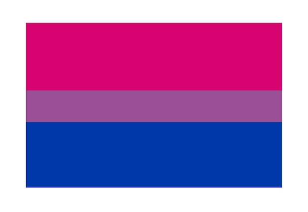 Vector bisexual flag
