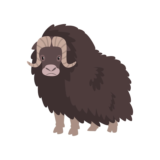 Vector bison arctic polar animal vector illustration isolated on a white background