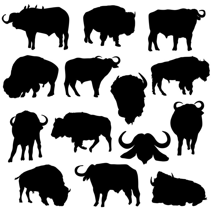 Vector bison buffalo animals silhouette illustraties