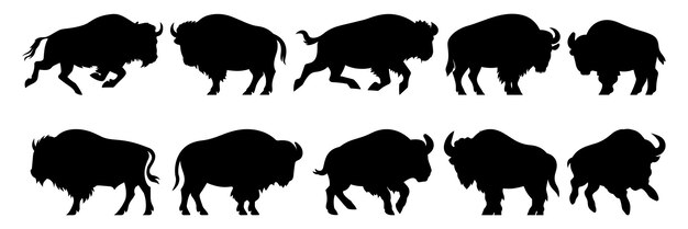 Bison buffalo silhouettes set large pack of vector silhouette design isolated white background