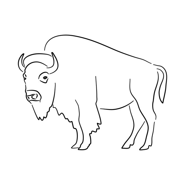 Vector bison illustration in hand drawn design vector