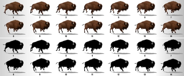 Bison run cycle animation sequence vector