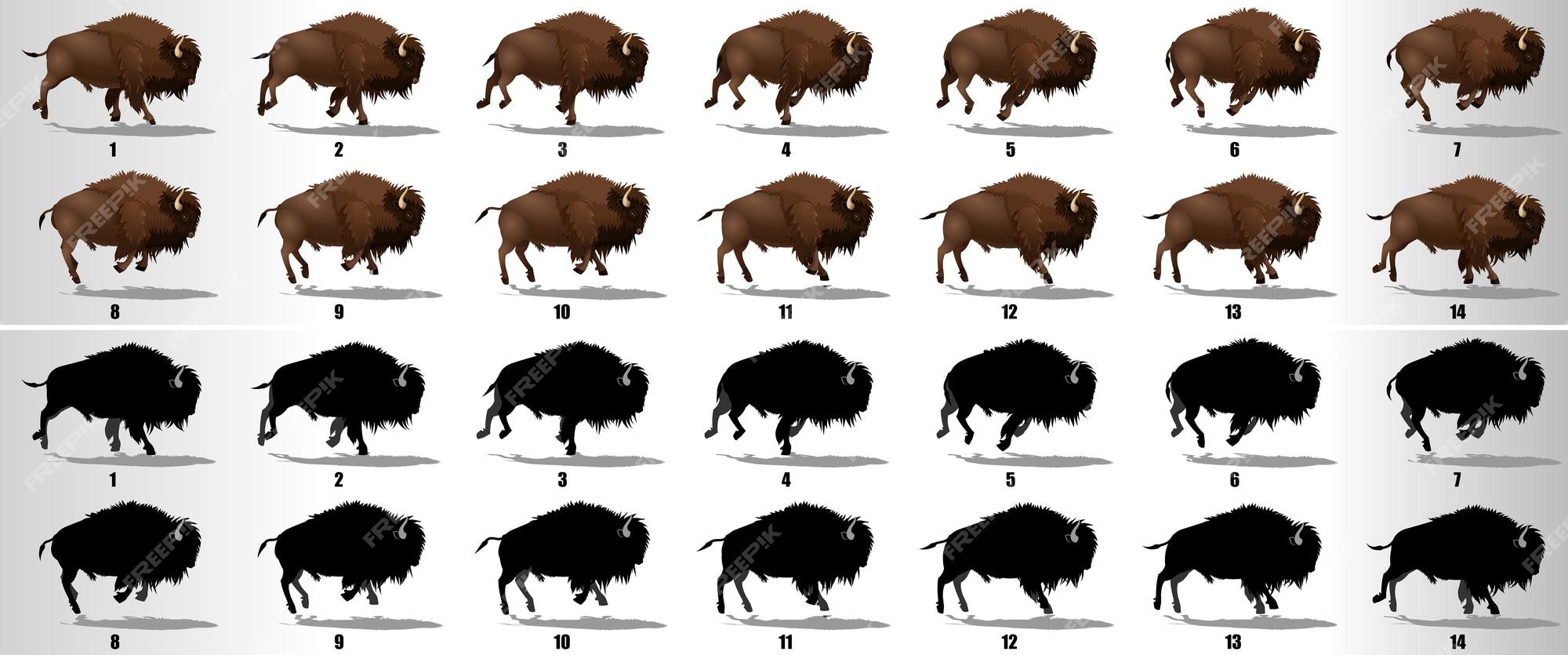 Top 133 + Bison similar animals - Lifewithvernonhoward.com