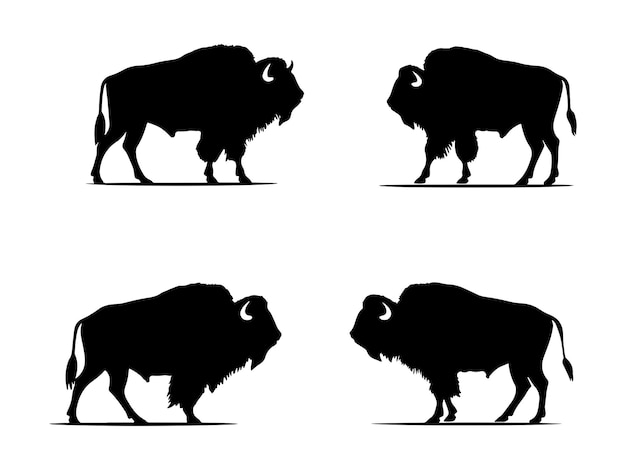 Vector bison silhouette black color vector