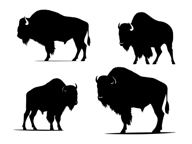 Vector bison silhouette vector a set of 4 bison vectors