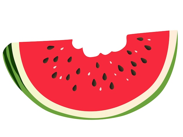 Bitten watermelon vector illustration design