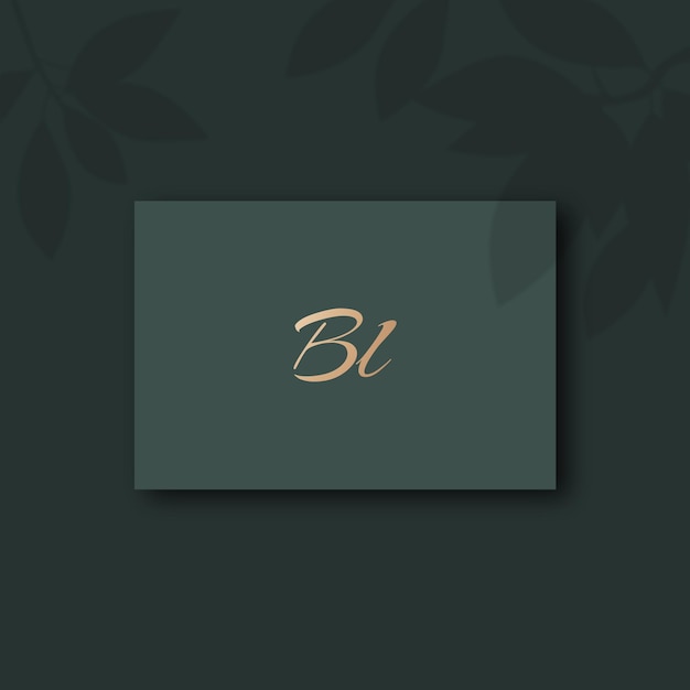 Bl logo design vector image