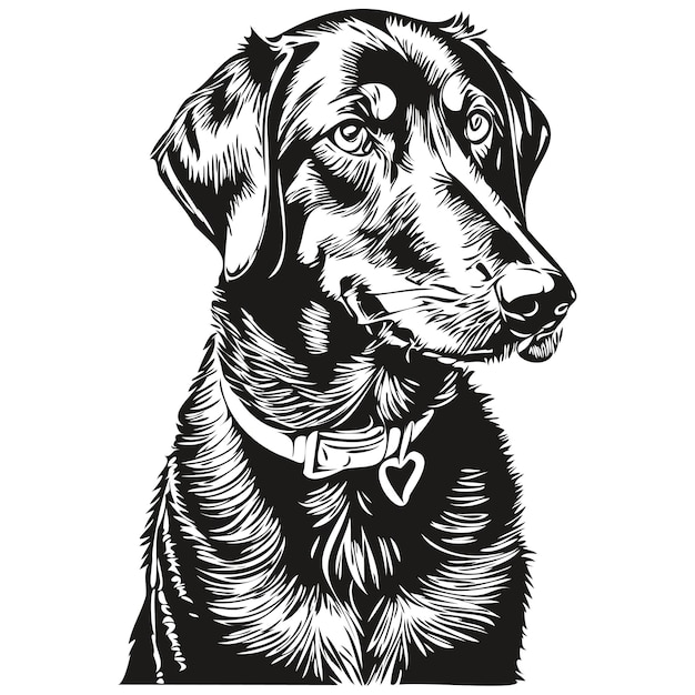 Black and Tan Coonhound hond hoofd lijntekening vectorhand getekende illustratie met transparante achtergrond schetstekening