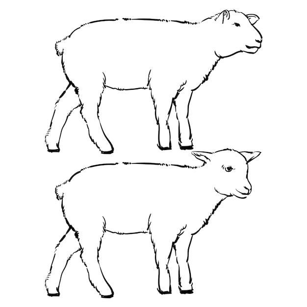 ベクトル 子羊の彫刻のモノクロのイラスト