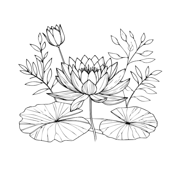ベクトル 黒と白のラークスプール 7月花のタトゥー 植物学 デルフィニウム花 筆のスケッチアート