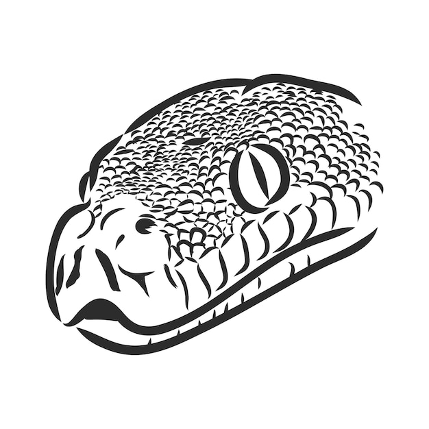 Черно-белый рисунок змея змея питона векторный рисунок