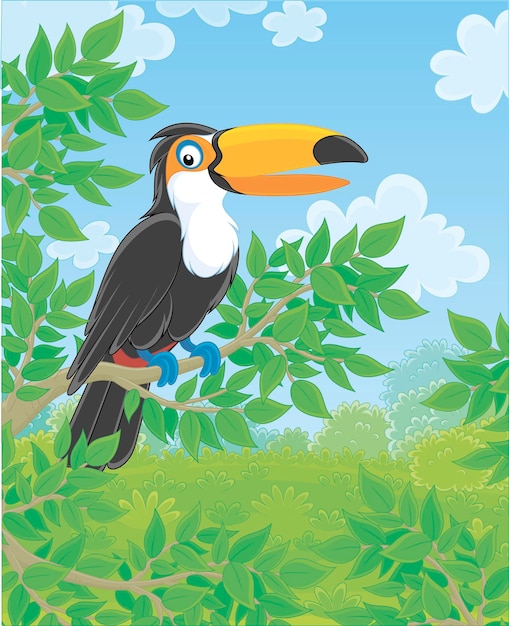 열대 정글의 녹색 나뭇가지에 크고 화려한 부리가 있는 흑백 큰부리새