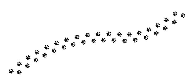 Black animal dog footprints paw isolated on white background Vector illustration