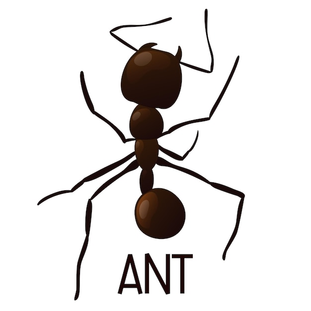 Black ant trail. working insect curve group silhouettes isolated on white background. vector illustration.