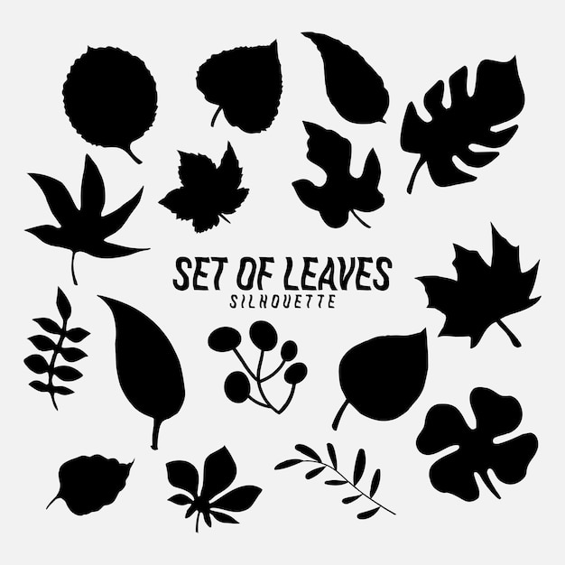 Черные осенние листья или силуэты листвы выделены на белом фоне. вектор опавших листьев дерева