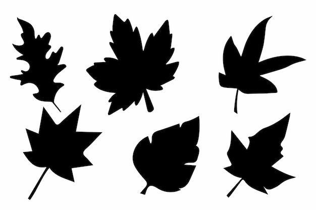 Vector black autumn leaves silhouette design