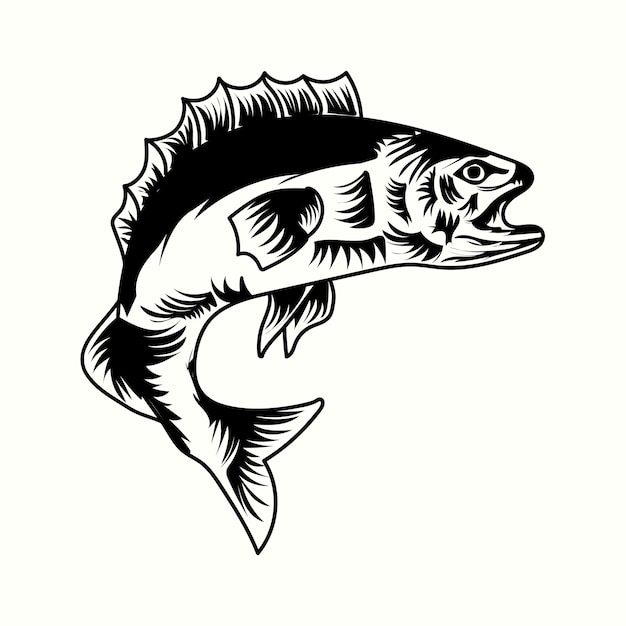 Vector black  bass fish illustration premium quality vector