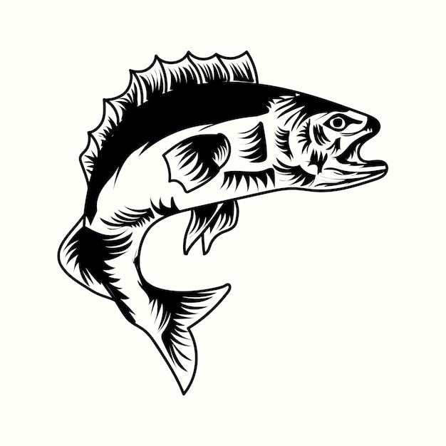 Black  Bass fish illustration premium quality vector