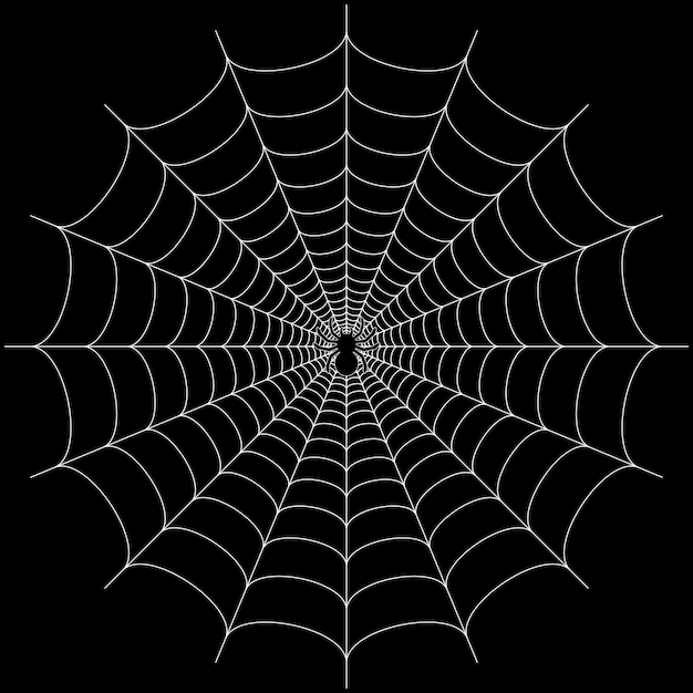 black big scary spider sitting center of web spooky halloween decoration element for your design