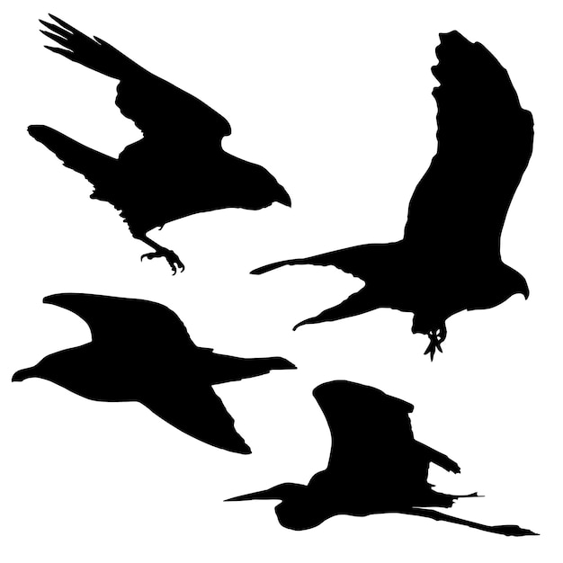 A black bird is flying with the word raven on it.