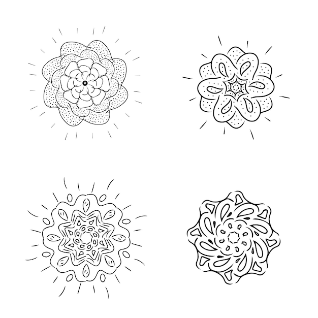 black border flower vector image