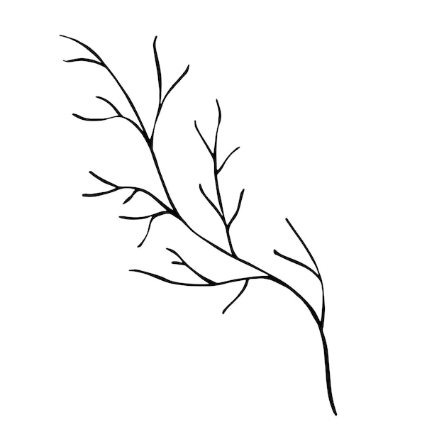白い背景に分離された黒い枝 手描きの背景アート