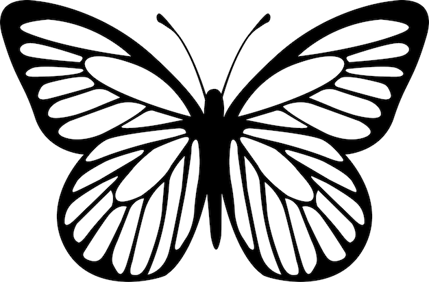 Black butterfly design hand drawn